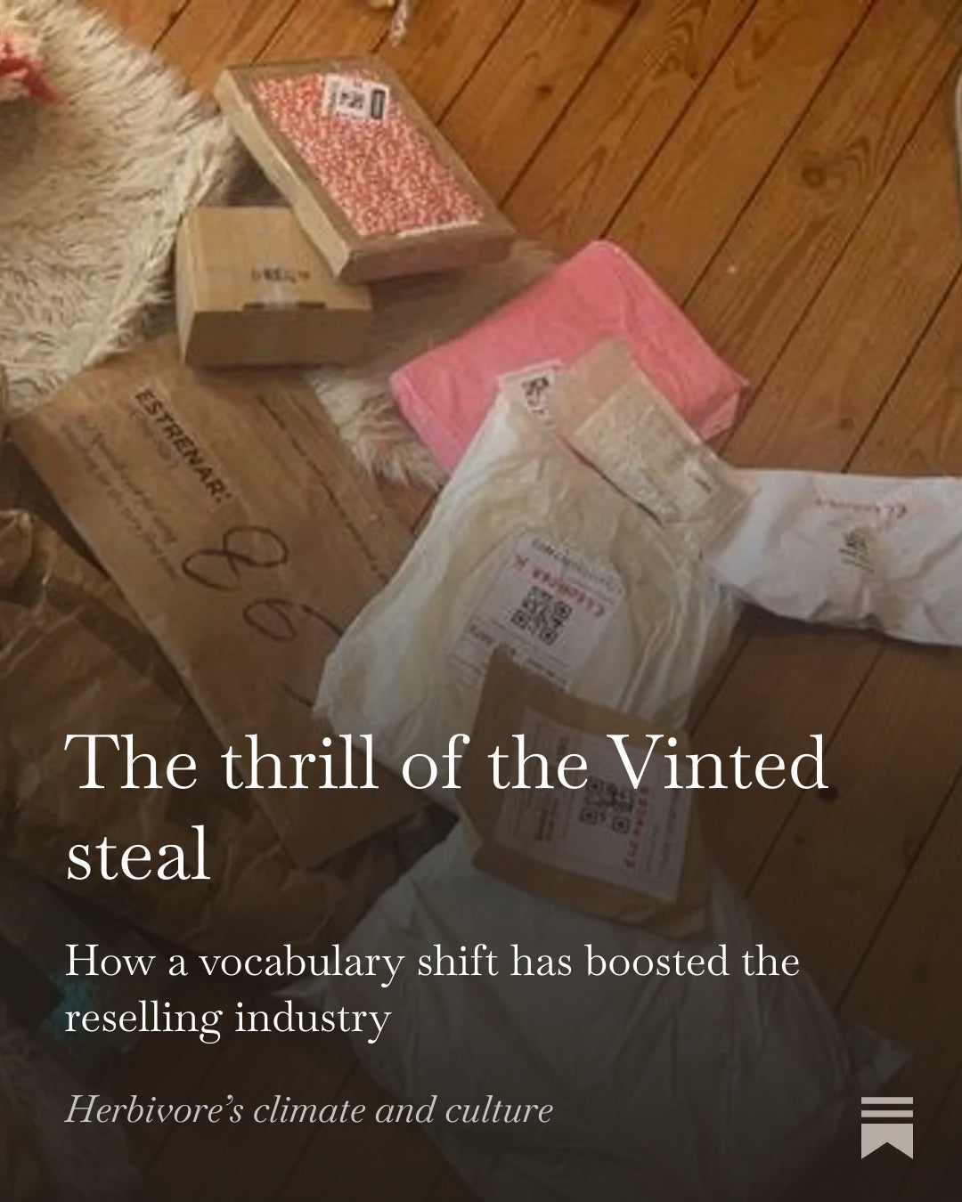 The thrill of the Vinted steal