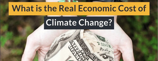 Is Climate Change Coming for your Wallet?