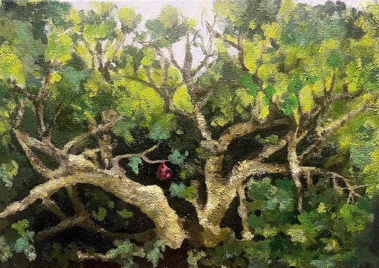 All dressed up with nowhere to go: the environmental cost of the imagined self